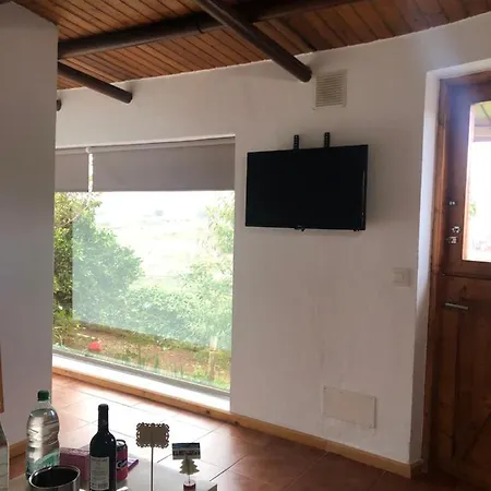 Viejitos En