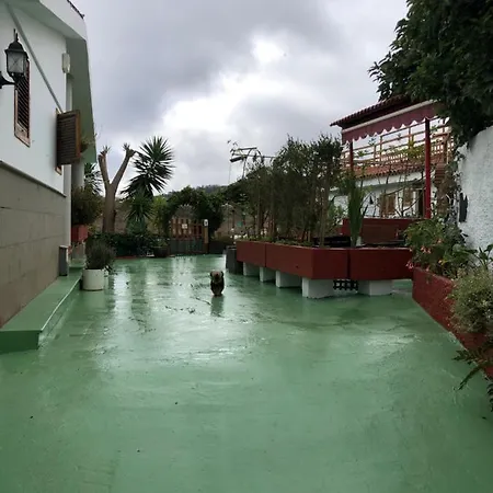 Viejitos En Firgas