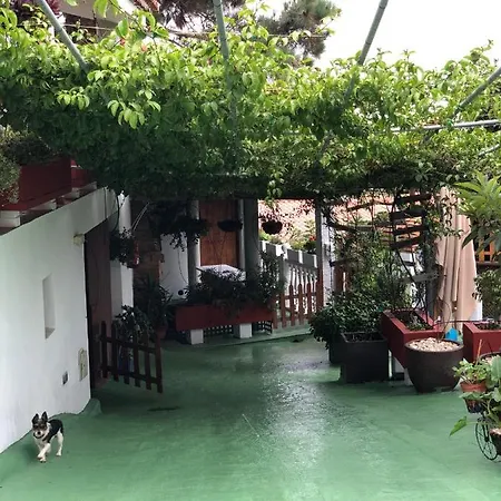 Vakantiehuis Viejitos En Firgas