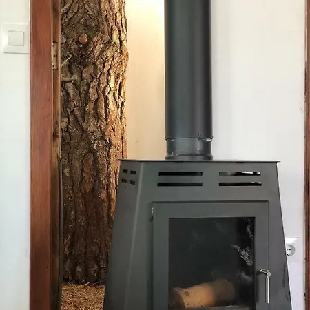 Viejitos En Vakantiehuis